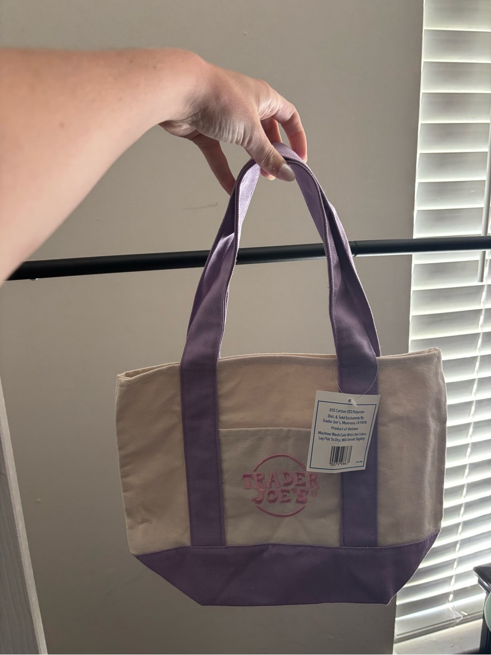 Purple Trader Joe’s Mini Tote
